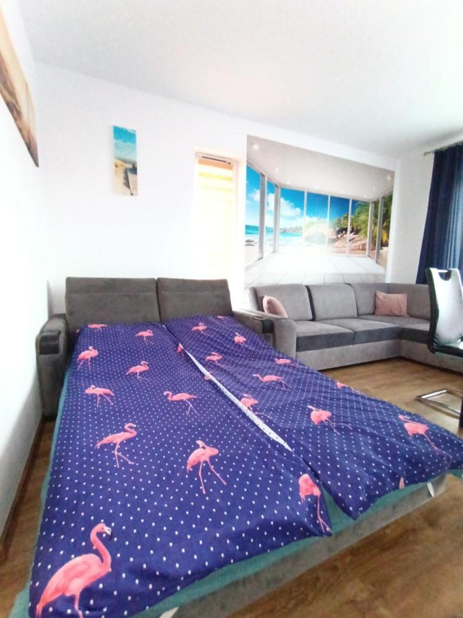 Flamingo 19 Miedzyzdroje
